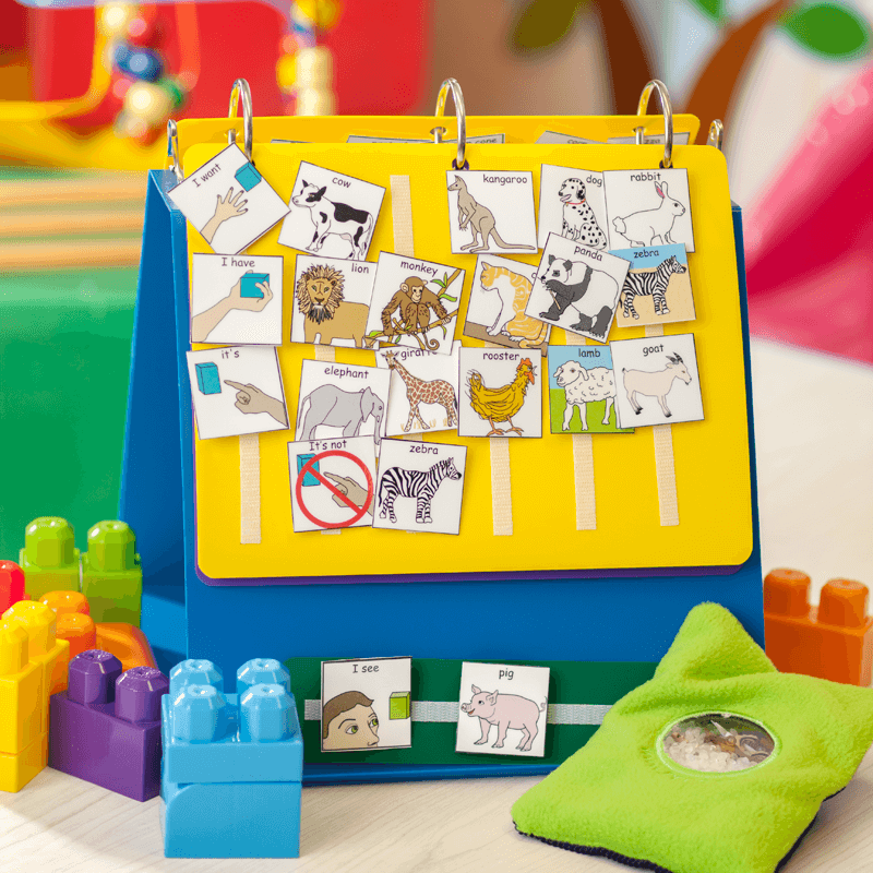 Activity Binder Pyramid Educational Consultants of Canada