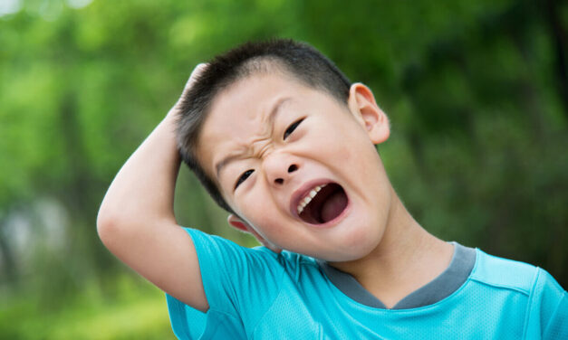 Behaviour Training