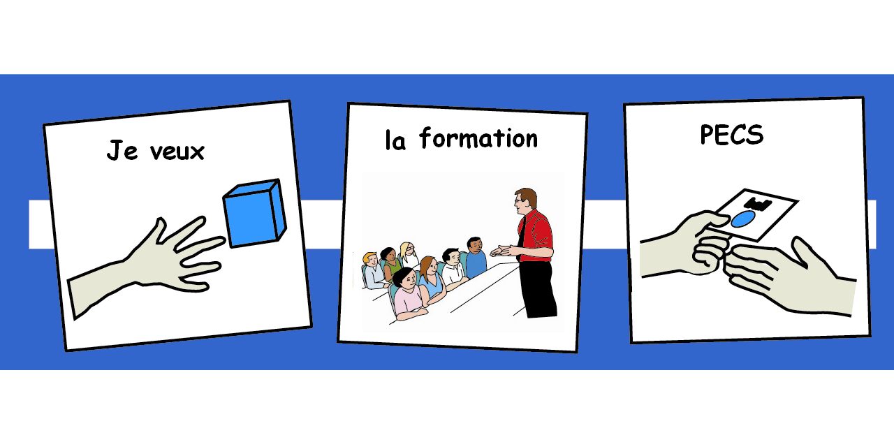Formation PECS Niveau 1 en Ligne