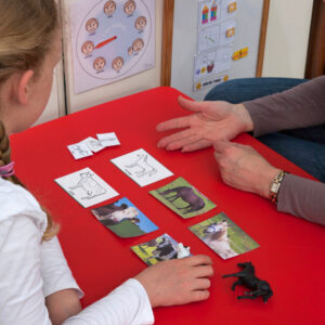 Receptive picture identification lesson