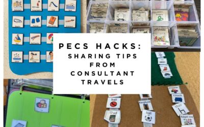 PECS® Hacks: Sharing Tips from Consultant Travels 