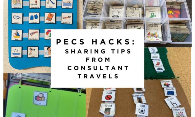 PECS<sup>®</sup> Hacks: Sharing Tips from Consultant Travels 
